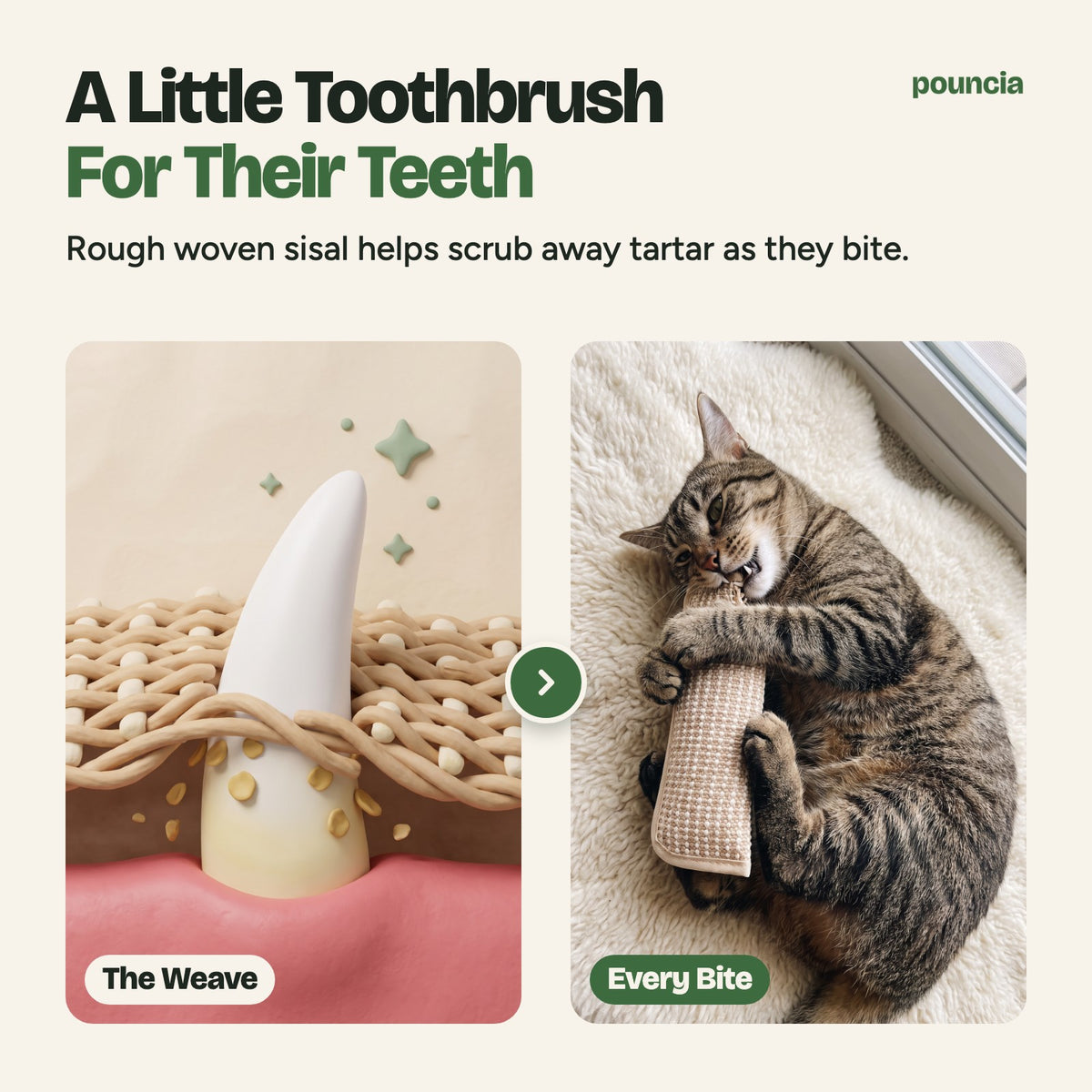 A little toothbrush for their teeth: rough woven sisal helps scrub away tartar as they bite