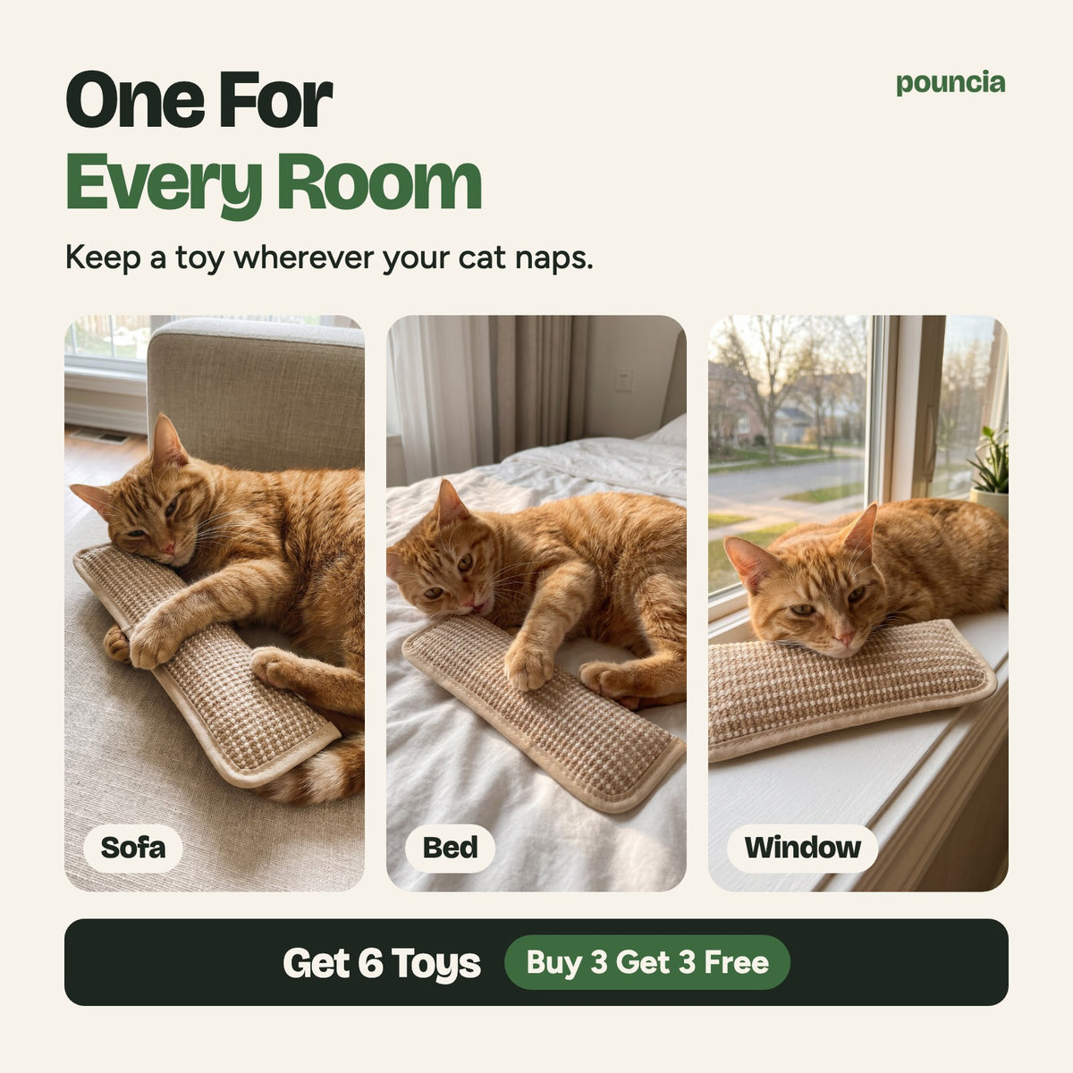 One kicker toy for every room: sofa, bed, window